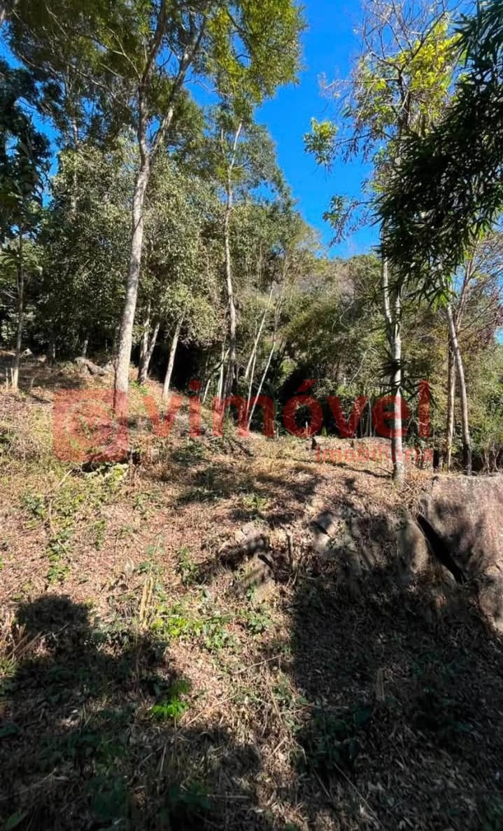 Excelente Oportunidade: Terreno à venda em Banquete – Bom Jardim/RJ!  - Foto 7