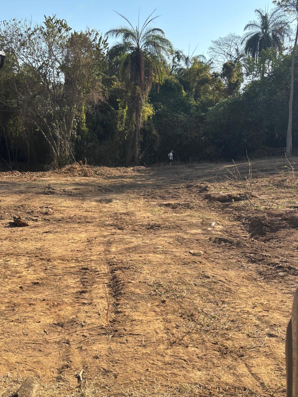 Terreno de Chácara no Bairro da Roseira  - Foto 2