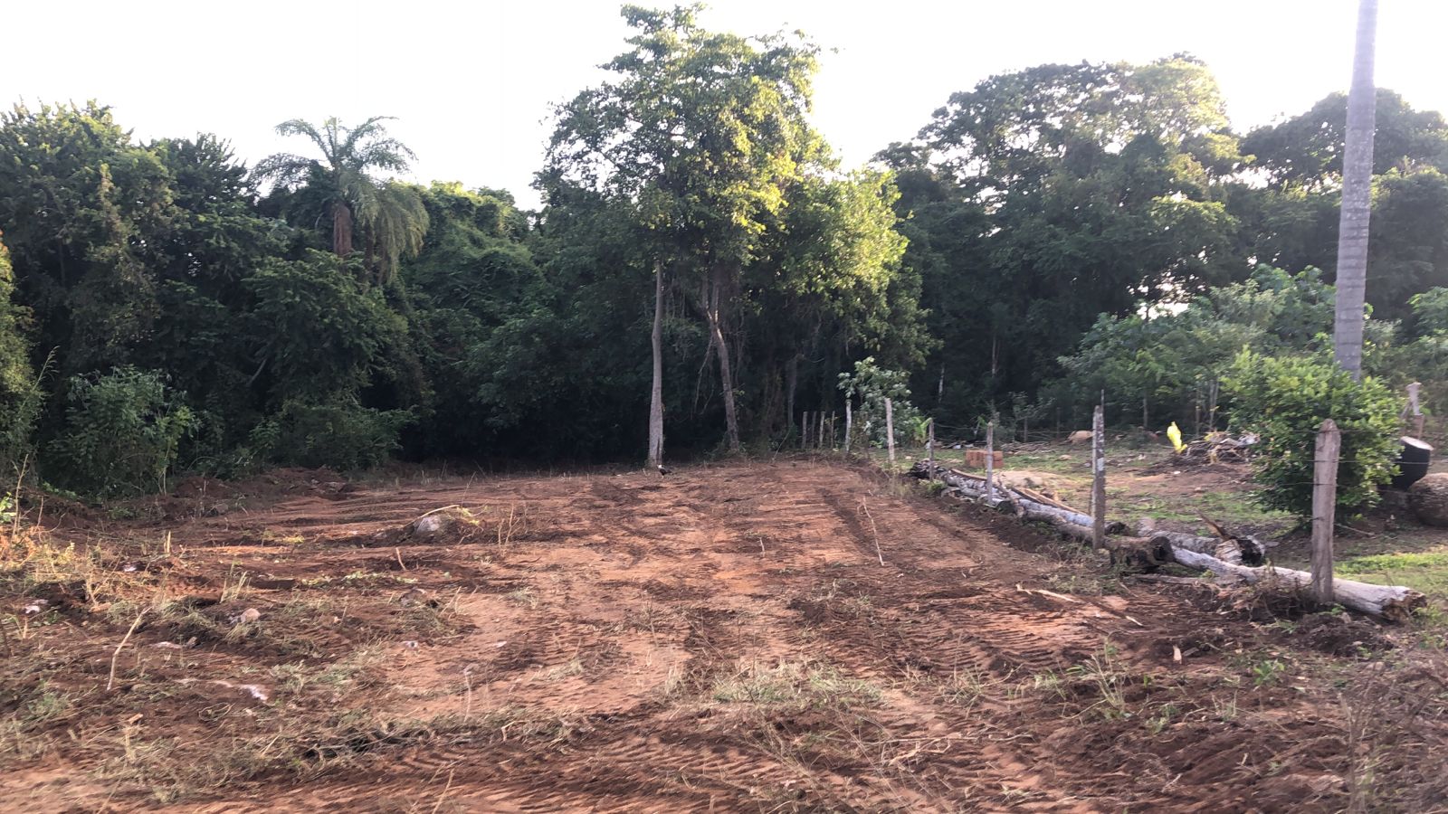 Terreno de Chácara no Bairro da Roseira  - Foto 3