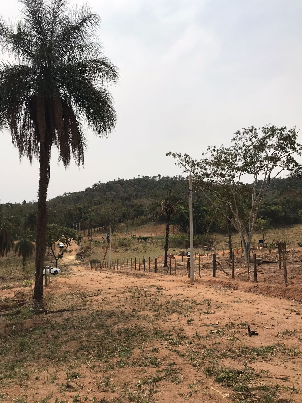 Terreno de Chácara no Bairro da Roseira  - Foto 5